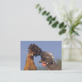 Funny Poland Chickens tweezijdig Visitekaartje (Staand voorkant)