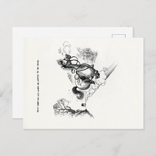 Funny Pony Cartoon Briefkaarten (Voorkant / Achterkant)