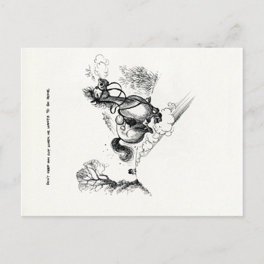 Funny Pony Cartoon Briefkaarten (Voorkant)