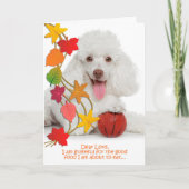 Funny Poodle Thanksgiving Kaart (Voorkant)
