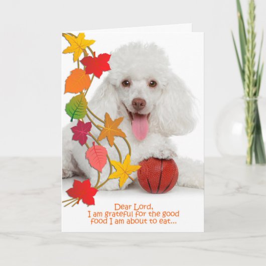 Funny Poodle Thanksgiving Kaart (Voorkant)