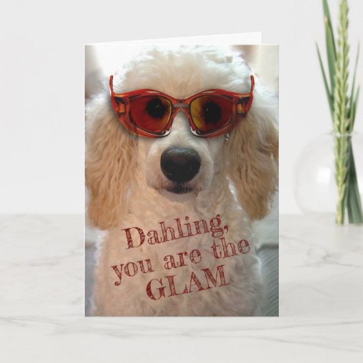 Funny Poodle Wearing Shades Sunbril Card Kaart (Voorkant)