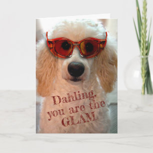 Funny Poodle Wearing Shades Sunbril Card Kaart