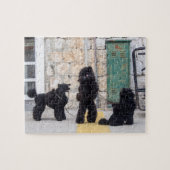 Funny poodles jigzaadpuzzel legpuzzel (Horizontaal)