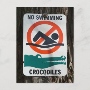 Funny Pool of Swimming Hole Sign. Briefkaart