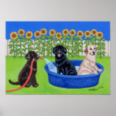 Funny Pool Party Labradors Artwork Poster (Voorkant)