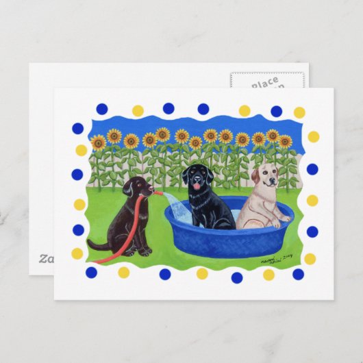 Funny Pool Party Labradors Briefkaart (Voorkant / Achterkant)