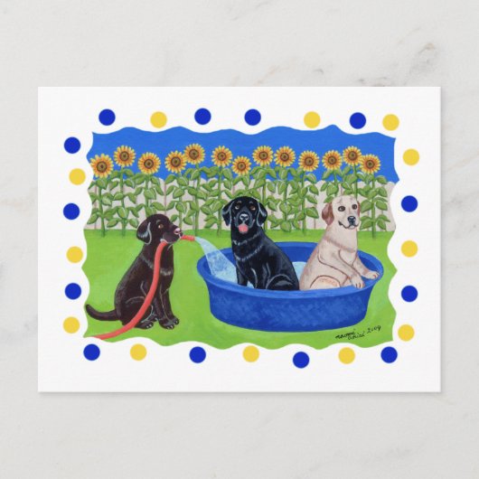 Funny Pool Party Labradors Briefkaart (Voorkant)