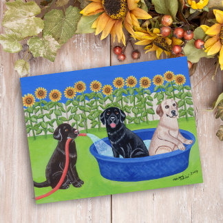 Funny Pool Party Labradors Briefkaart