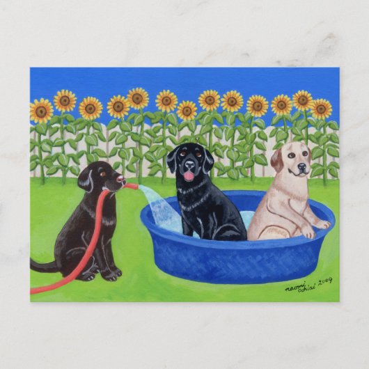 Funny Pool Party Labradors Briefkaart (Voorkant)
