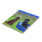 Funny Pool Party Labradors Tegeltje (Zijkant)