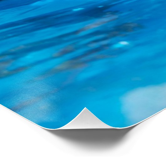 Funny Porpoise Memes Funny Porpoise Gezegden Quott Perfect Poster (Hoek)