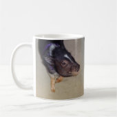 Funny Pot Bellied Pig Photography Mok (Links)