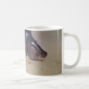 Funny Pot Bellied Pig Photography Mok