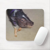Funny Pot Bellied Pig Photography Muismat (Met muis)