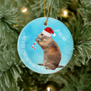 Funny Prairie Dog in Santa Hat Keramisch Ornament
