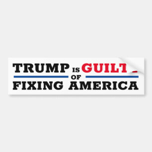 Funny Pro Trump Anti Impeachment Bumpersticker