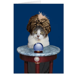 Funny Psychic Kat die over jou denkt