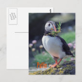 Funny puffin briefkaart (Voorkant / Achterkant)