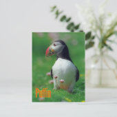 Funny puffin briefkaart (Staand voorkant)