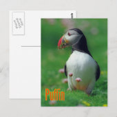 Funny puffin briefkaart (Voorkant / Achterkant)