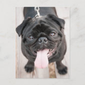 Funny pug briefkaart (Voorkant)