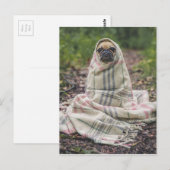 Funny Pug Briefkaart (Voorkant / Achterkant)