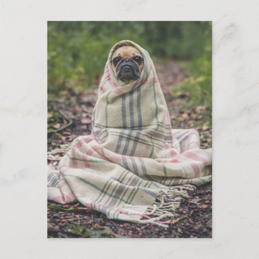 Funny Pug Briefkaart (Voorkant)