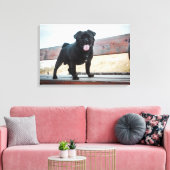 Funny pug canvas afdruk (Insitu (Woonkamer))