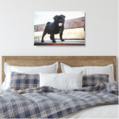 Funny pug canvas afdruk (Insitu (Slaapkamer))