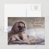 Funny Pug Dog briefkaart (Voorkant / Achterkant)