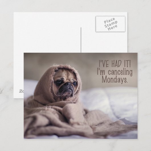 Funny Pug Dog briefkaart (Voorkant / Achterkant)