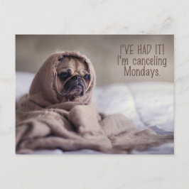 Funny Pug Dog briefkaart