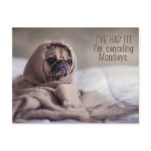 Funny Pug Dog briefkaart