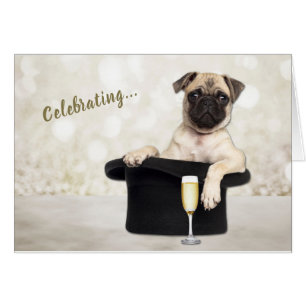 Funny Pug Dog Celebrate Birthday Card