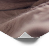 Funny Pug Dog Close-up poster (Hoek)