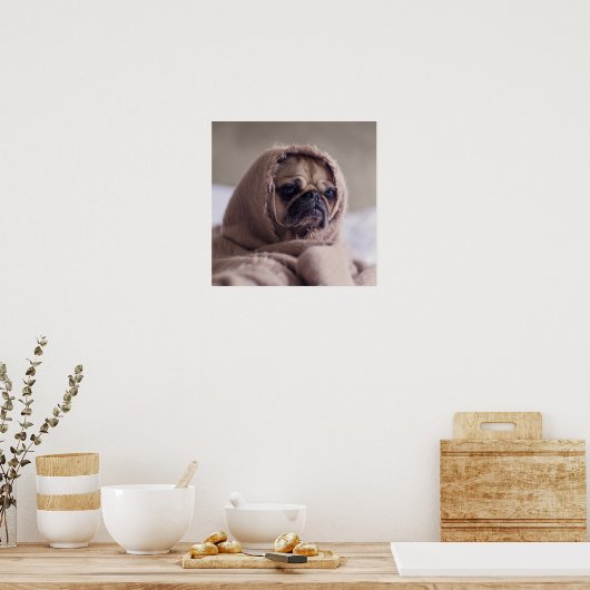 Funny Pug Dog Close-up poster (Keuken)
