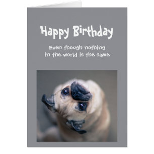 Funny Pug Dog Social Distance Birthday