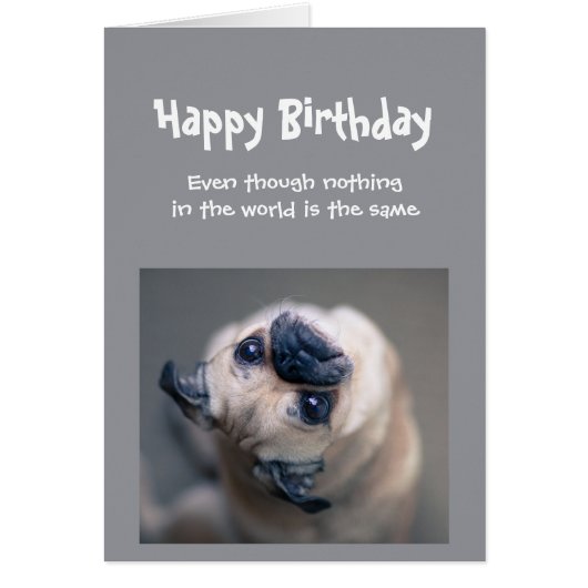 Funny Pug Dog Social Distance Birthday (Voorkant)