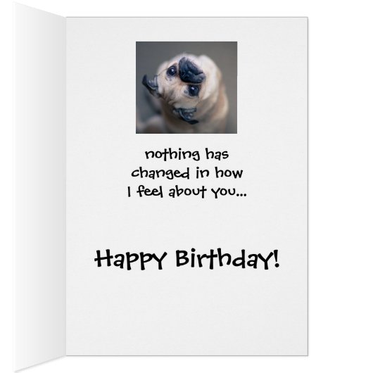 Funny Pug Dog Social Distance Birthday (Binnen (Rechts))