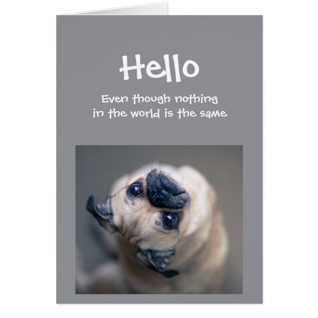 Funny Pug Dog Social Distance Hallo Hi (Voorkant)
