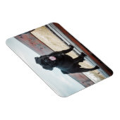 Funny pug magneet (Rechterzijde)