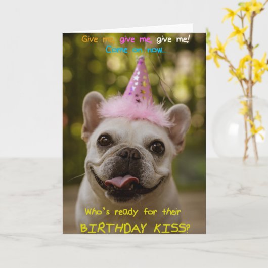Funny Pug Met Party Pet Verjaardag Wenskaart Kaart (Gele Bloem)