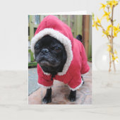 Funny Pug Verjaardag Wenskaart Kaart (Gele Bloem)