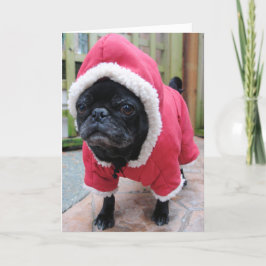 Funny Pug Verjaardag Wenskaart Kaart