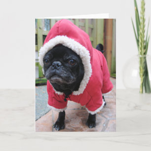 Funny Pug Verjaardag Wenskaart Kaart