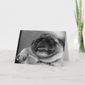 Funny Pug Wenskaart Kaart