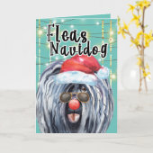 Funny Puli-kersthond in licht vlooien navidog Kaart (Gele Bloem)