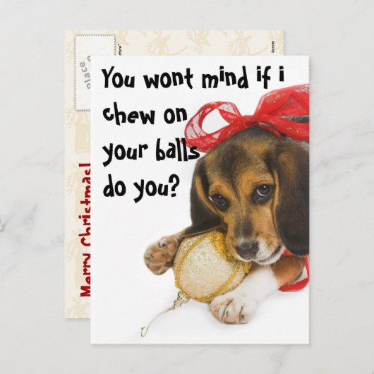 Funny Puppy Christmas, Holiday Postcard Feestdagenkaart (Voorkant / Achterkant)