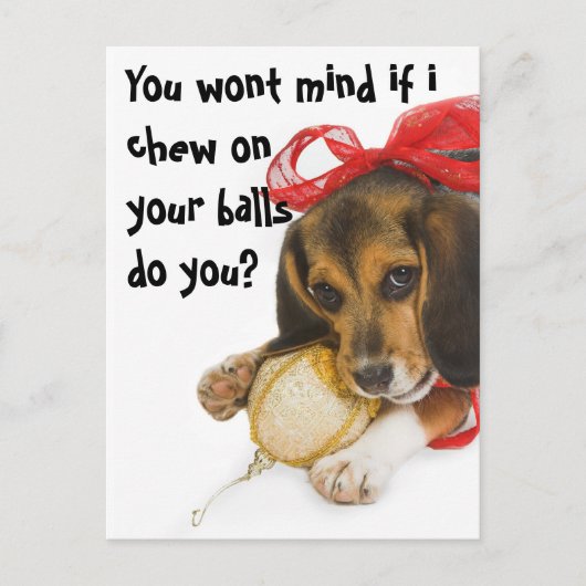 Funny Puppy Christmas, Holiday Postcard Feestdagenkaart (Voorkant)